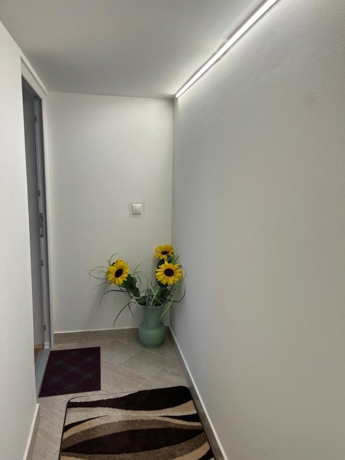 Vito Apartman Eger Exterior photo